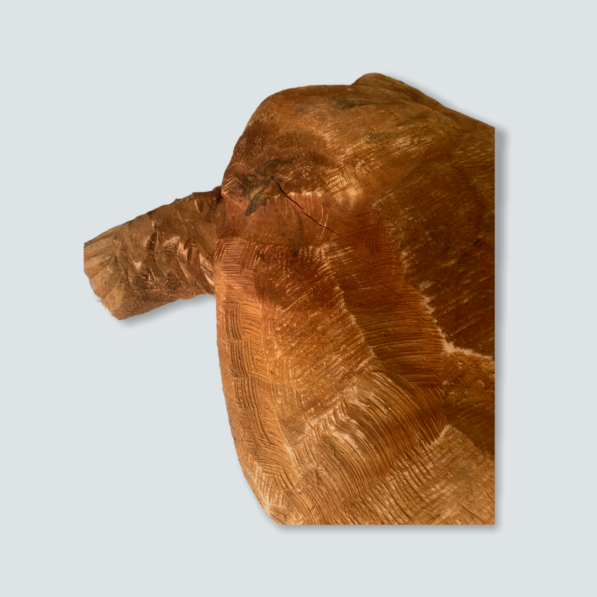 Mozambique hand carved Sea Turtle XL - (02)