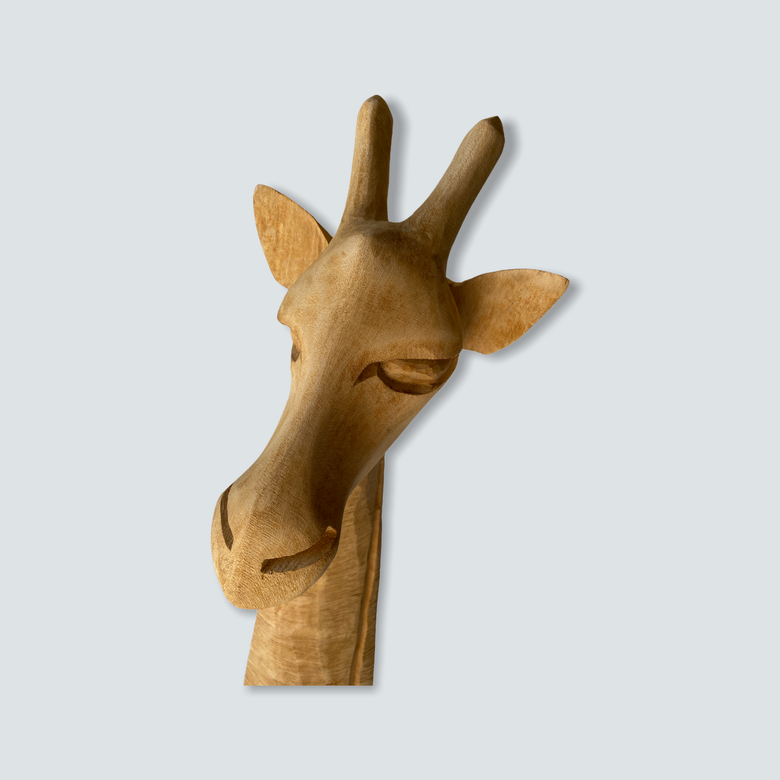Swazi Giraffe-head sculptures - wood - L