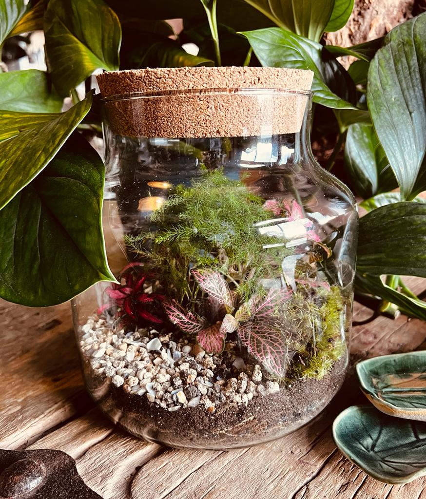 Terrarium Class - Upgrade masterclass cork jar