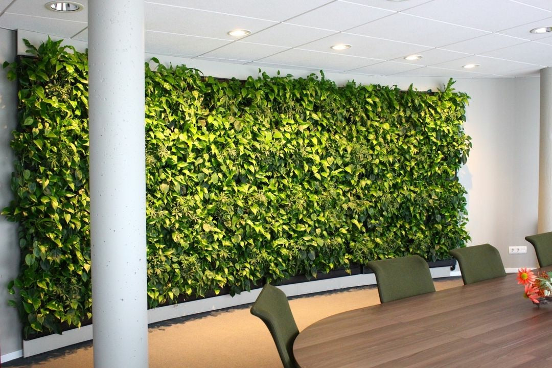 Frameless Living Wall System