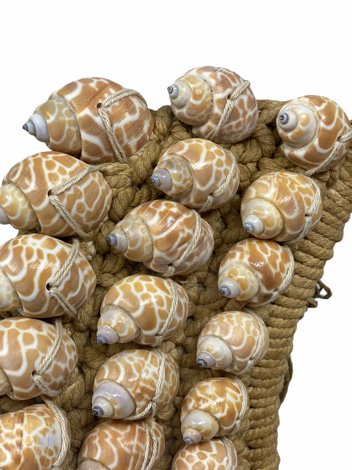 Handmade Shell Necklace