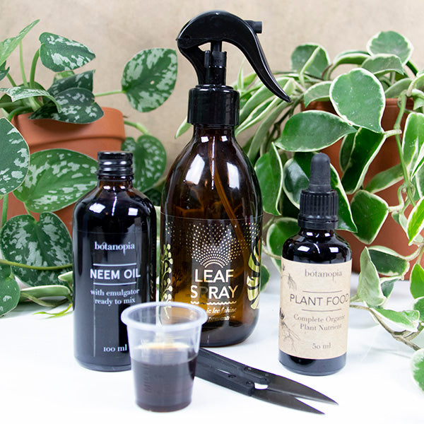 indoor plant care kit House Plant Care Kit