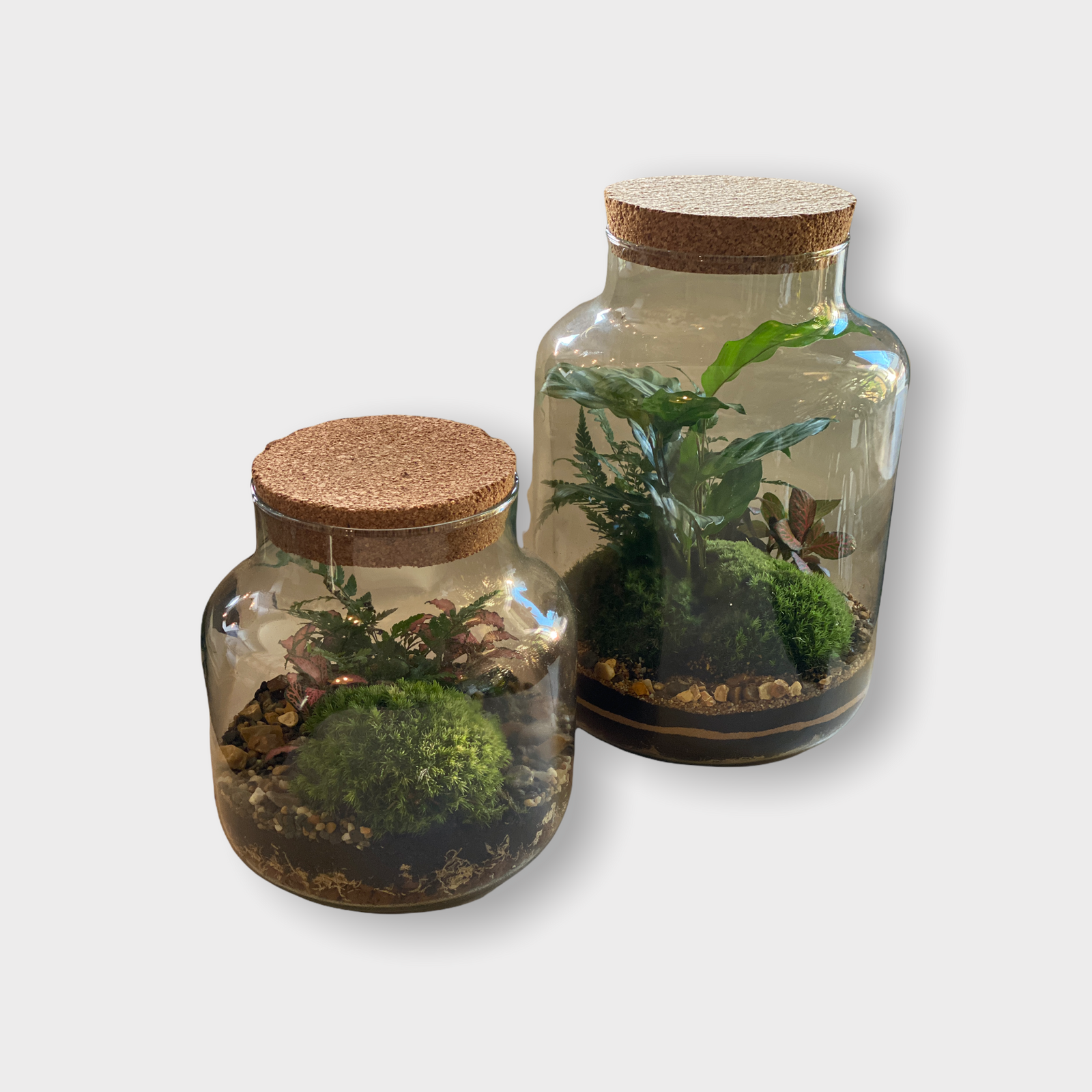 Masterclass Upgrade - Tall Cork Jar 30cm x 20cm