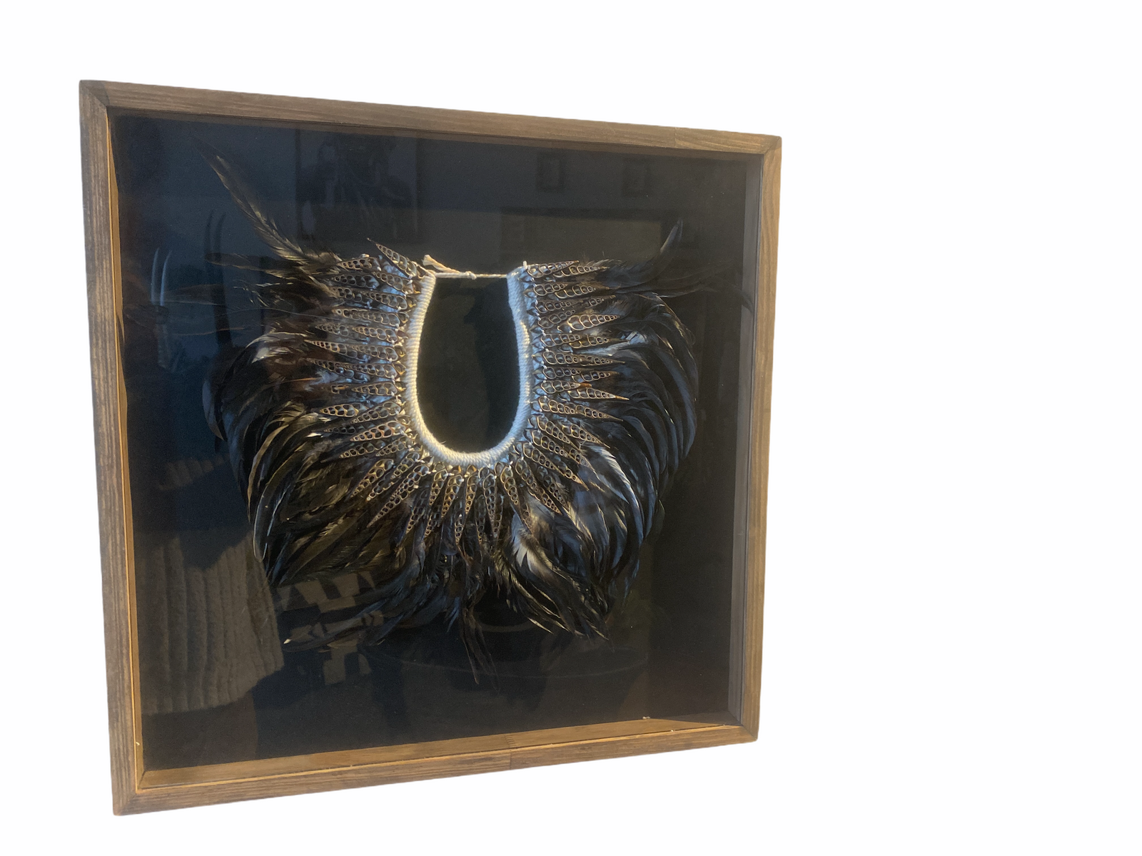 Handmade framed Feather & Shell necklace
