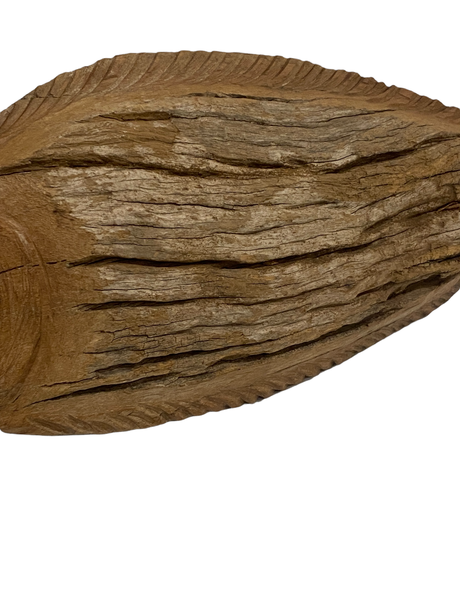 Driftwood Hand Carved Fish - (13.1) Large