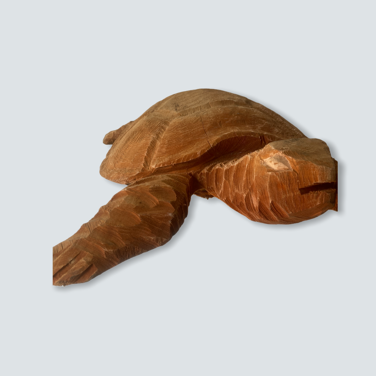 Mozambique hand carved Sea Turtle XL - (01)