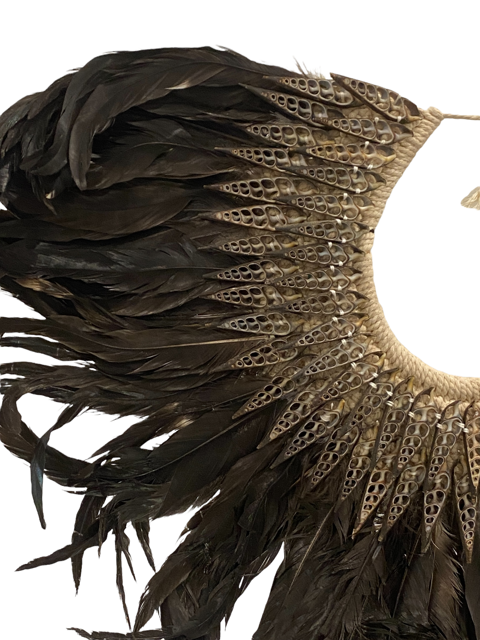 Handmade Feather & Shell necklace (2201)