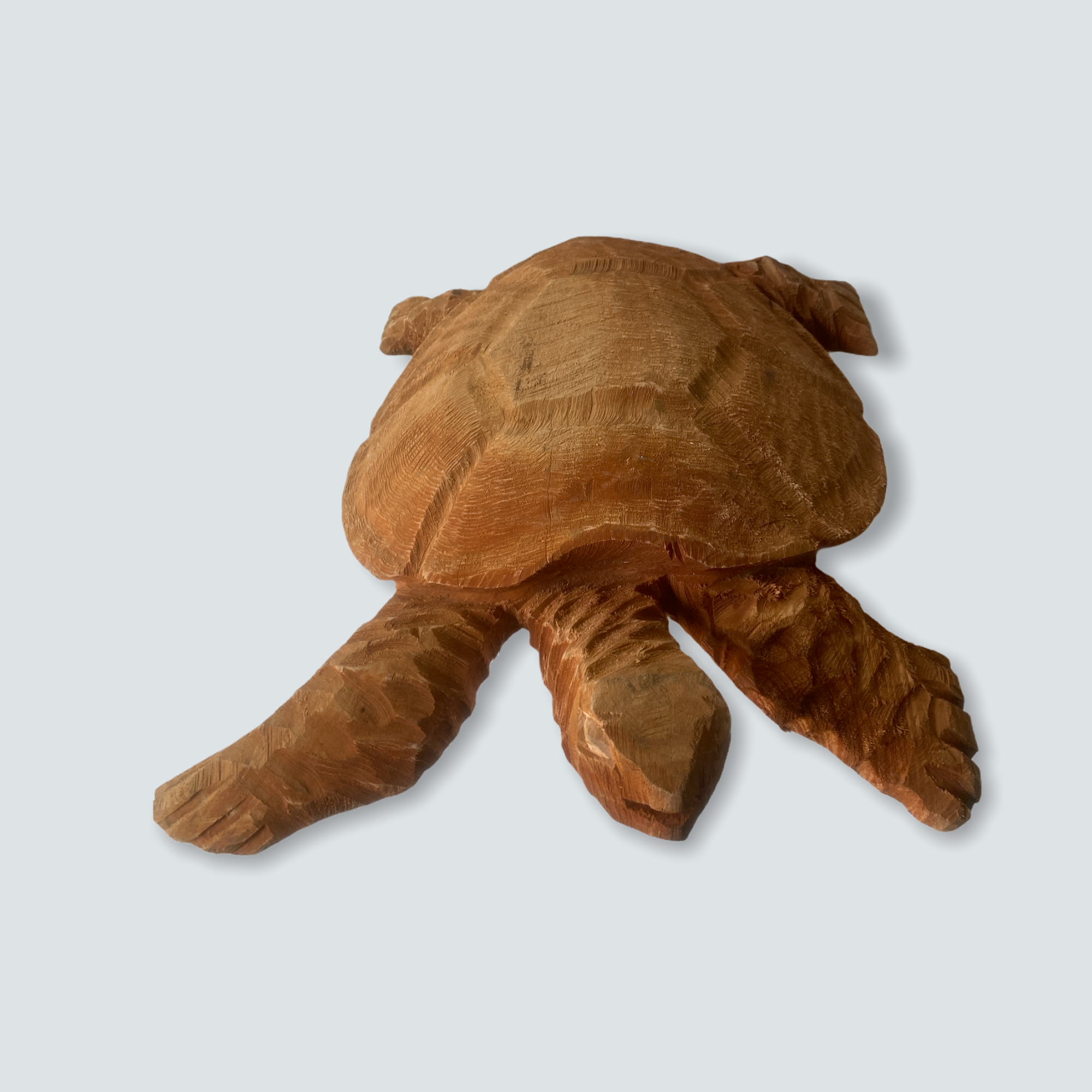 Mozambique hand carved Sea Turtle XL - (01)