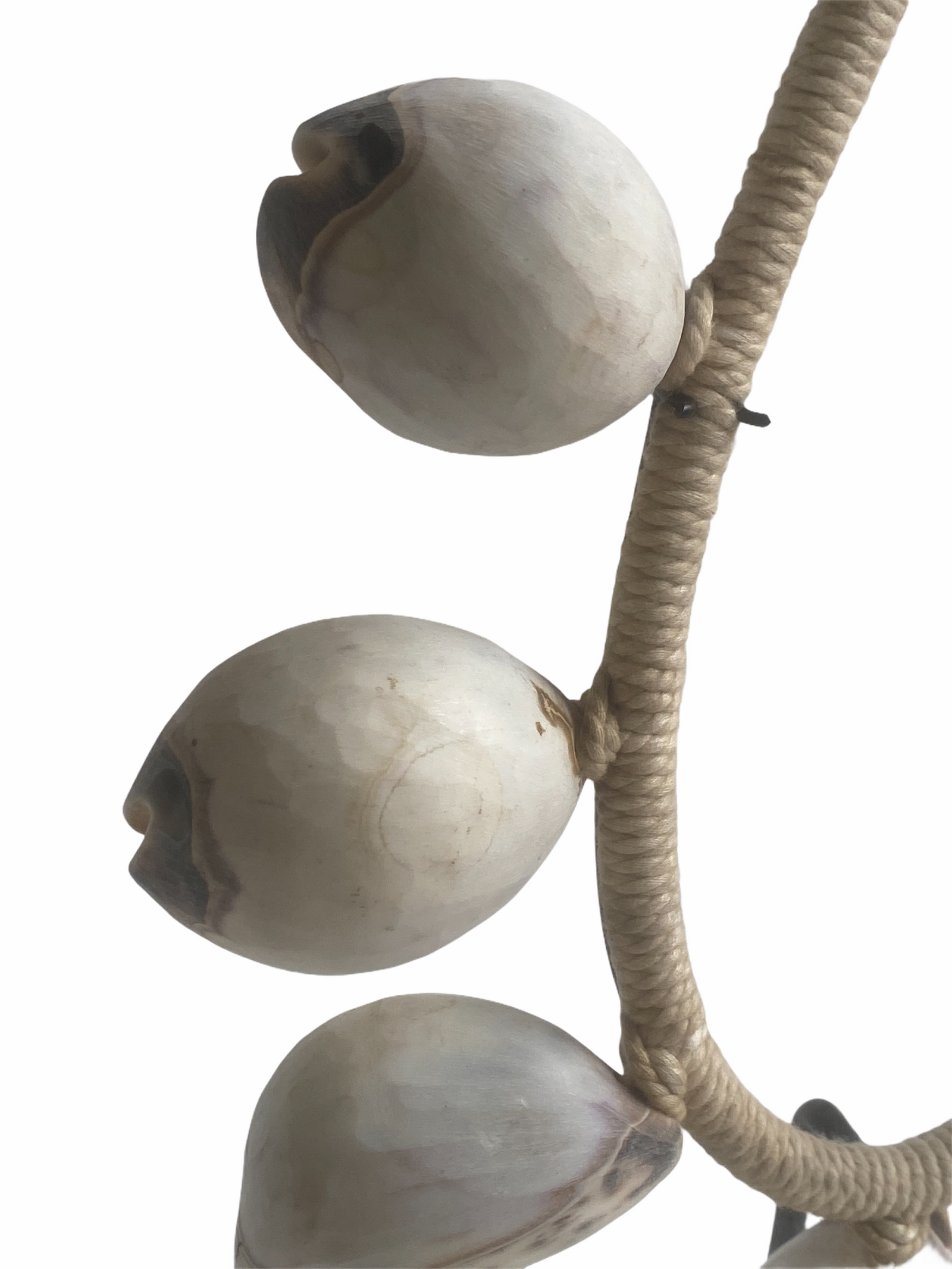 Handmade White Shell Necklace