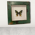 Butterfly - wooden frame (112.1)