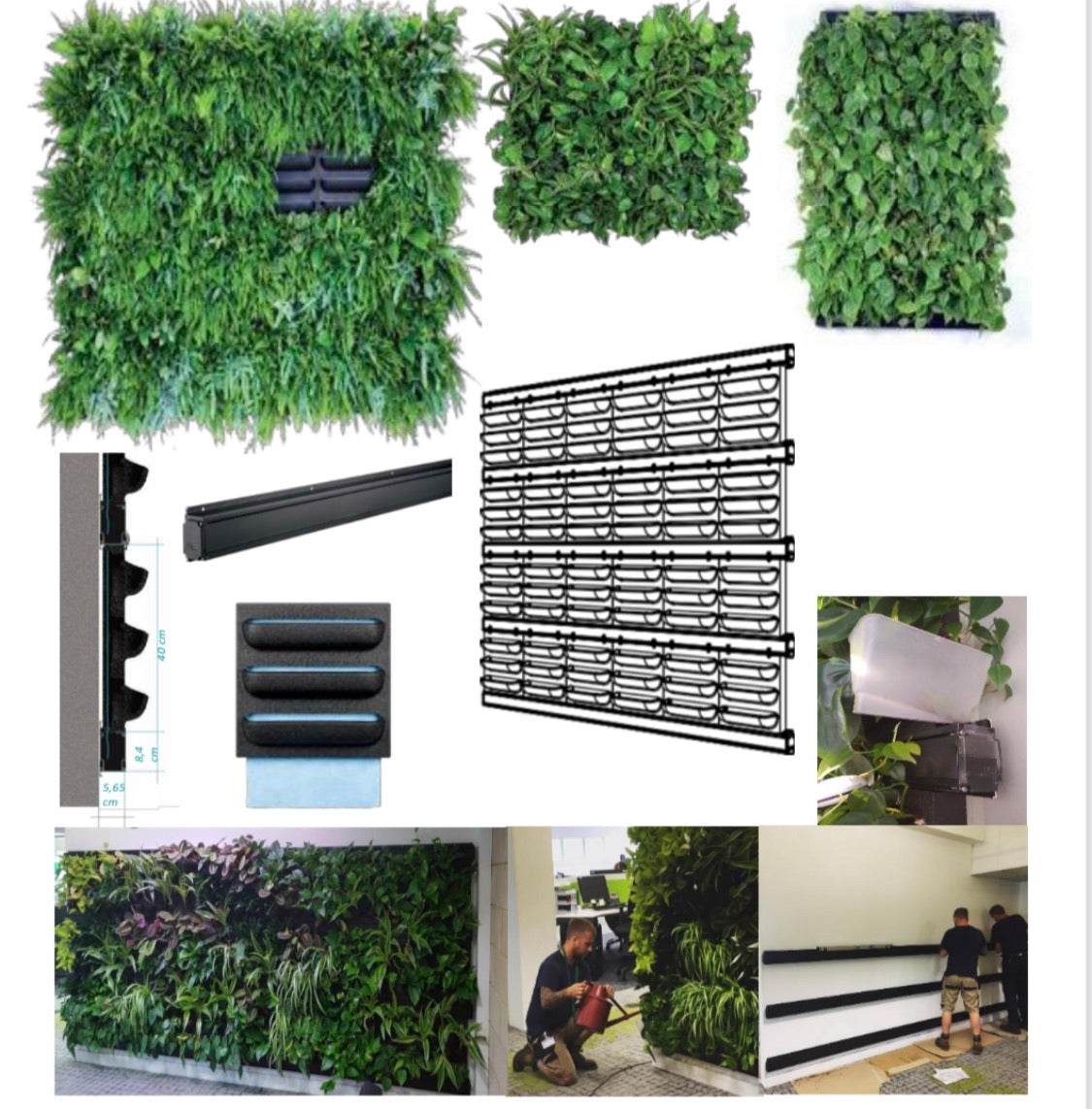 Frameless Living Wall System