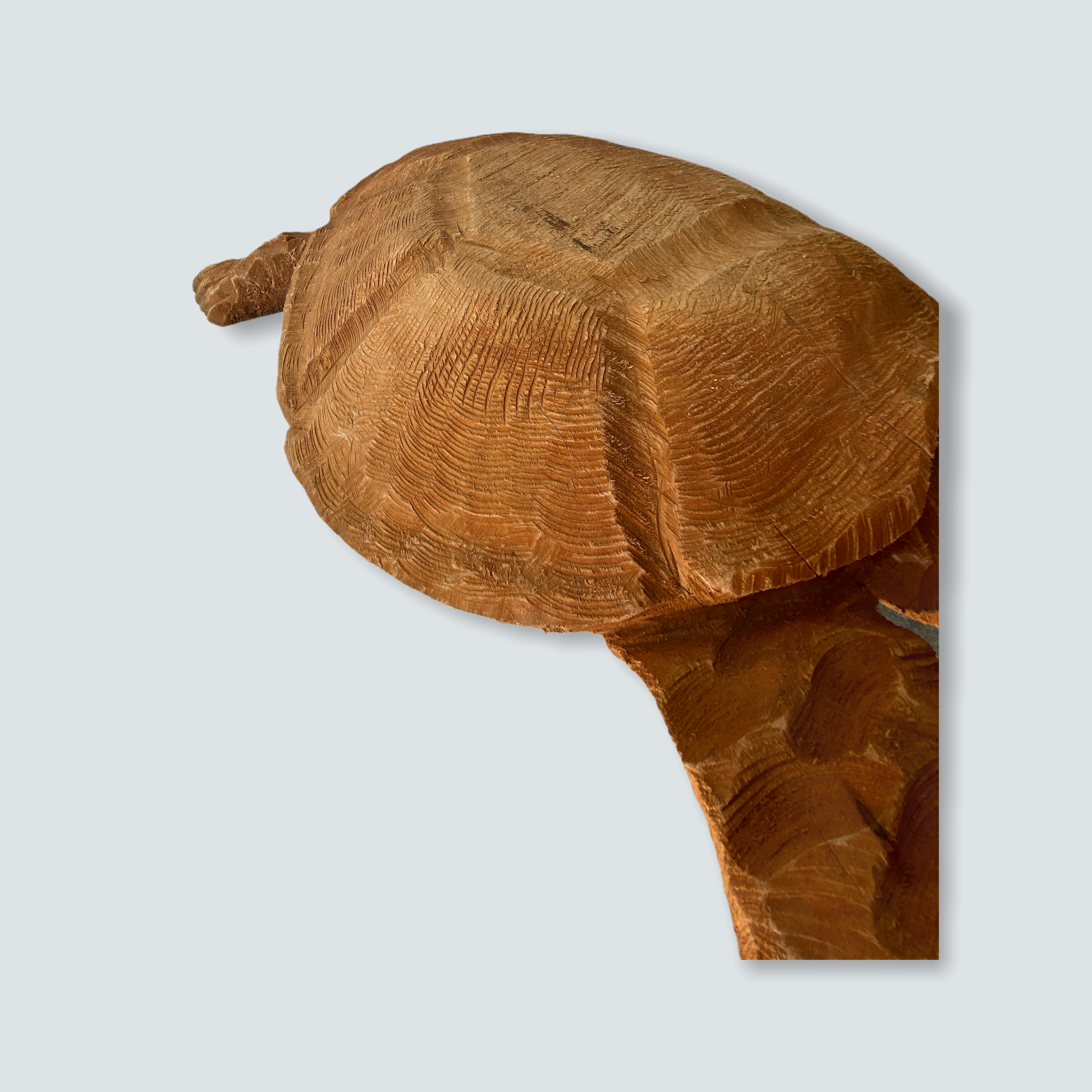 Mozambique hand carved Sea Turtle XL - (01)