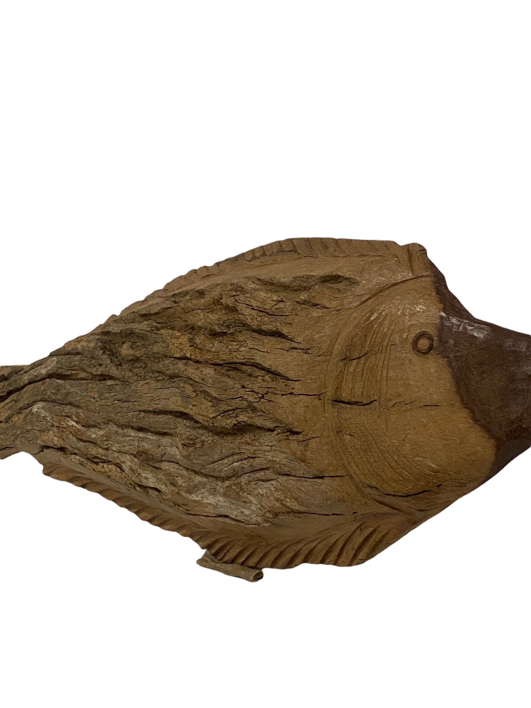 Driftwood Hand Carved Fish - (13.3) Large