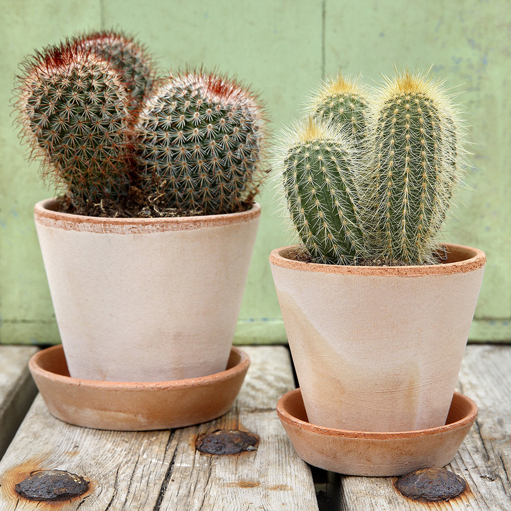 Julie Plant Pot and Saucer - Antique Rosa