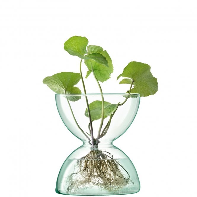 Canopy Vase