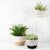 Planter Basket Jute